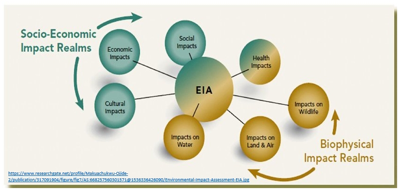 What Is The Purpose Of The Eia