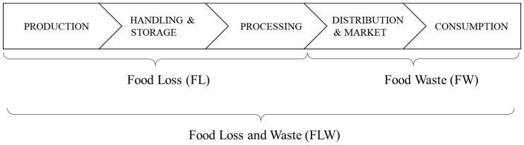 Hình 1: Sự khác nhau của Food Loss và Food Waste (Nguồn: National Library of Medicine)