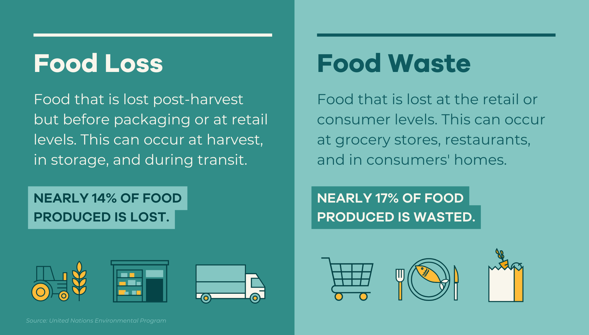 food-loss-the-other-side-of-food-waste-solen