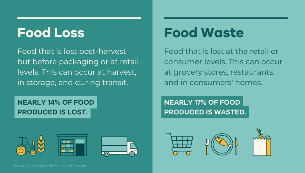 FOOD LOSS: Mặt khác của lãng phí thực phẩm?