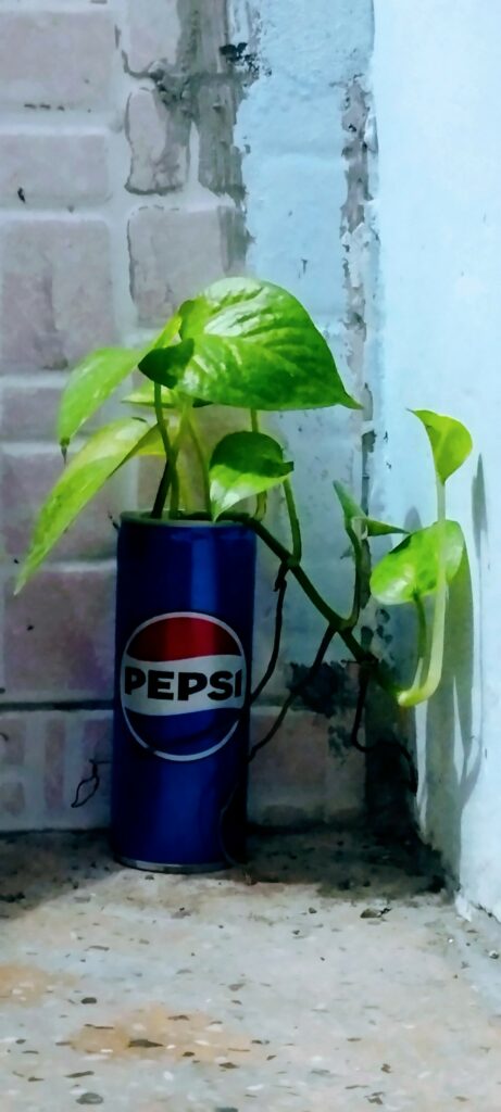 SOLEN office, 136 Hang Bac, Hoan Kiem, Hanoi.